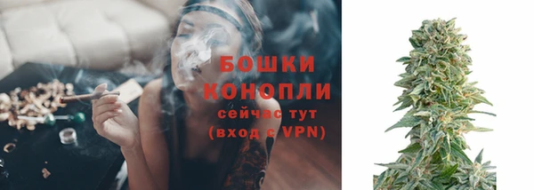 шишки Калининец