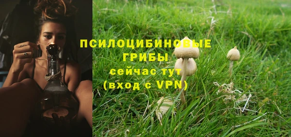 2c-b Гусь-Хрустальный