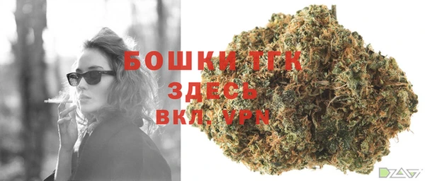 шишки Калининец