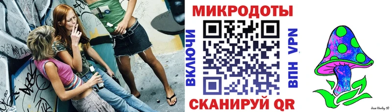 Псилоцибиновые грибы Psilocybe  Елизово 