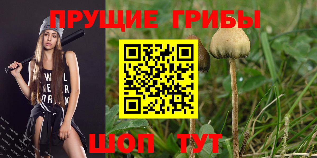 Псилоцибиновые грибы MAGIC MUSHROOMS Елизово
