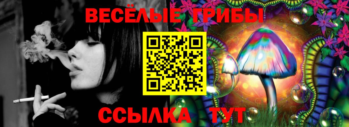 Елизово  Псилоцибиновые грибы Cubensis  Вход с VPN 