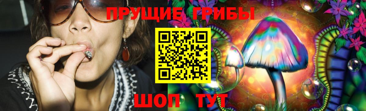 Псилоцибиновые грибы Psilocybine cubensis  Псилоцибиновые грибы Psilocybine cubensis  Елизово 